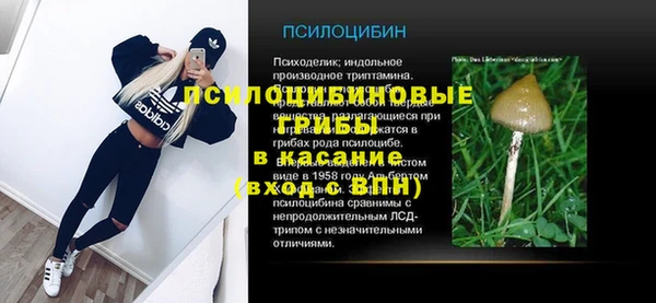 spice Бородино