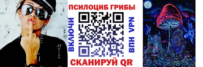 Галлюциногенные грибы Psilocybine cubensis  mega как зайти  Трубчевск 